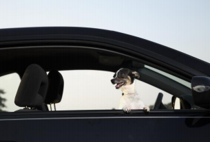 Allianz France lance une offre dédiée aux voitures semi-autonomes