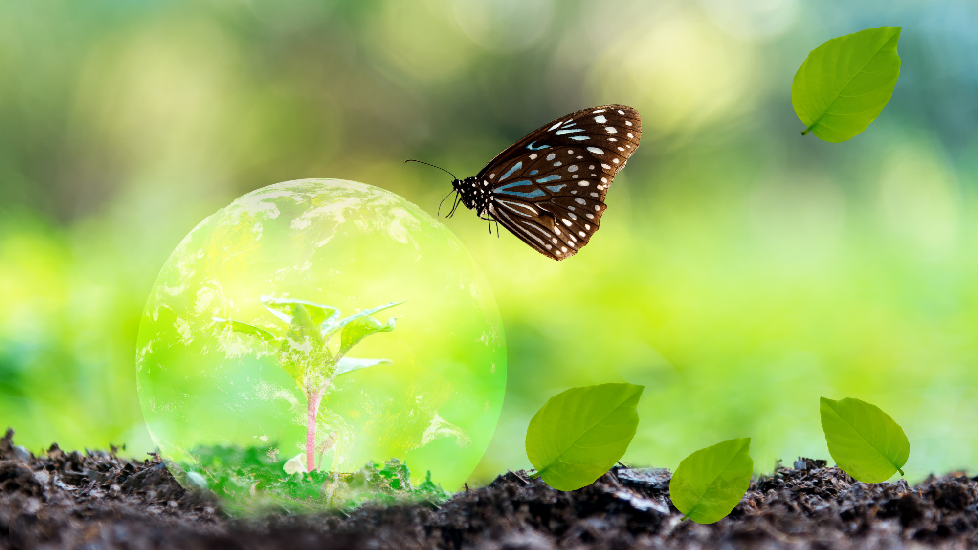 Allianz France s’engage pour la préservation de la biodiversité à travers l’initiative Finance for Biodiversity