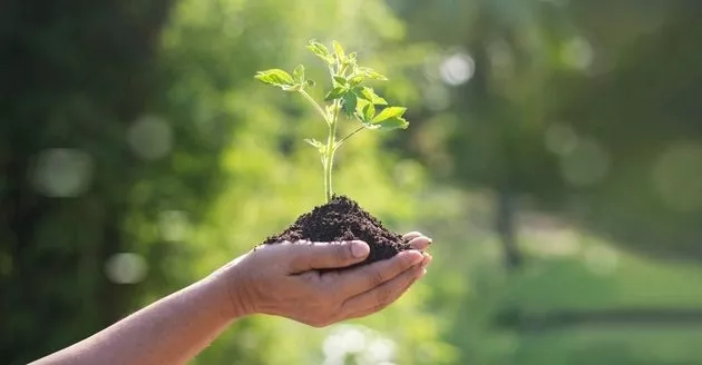 #AllianzSEngage : Allianz France poursuit son engagement pour préserver la nature, avec la création d’une forêt urbaine